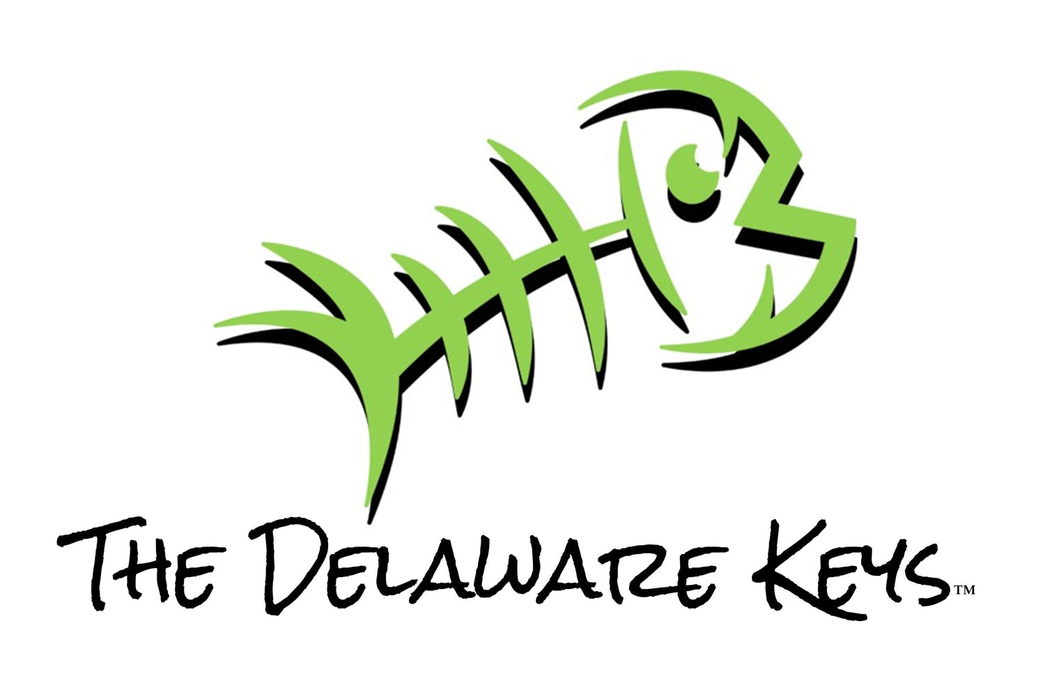 TDK 2025