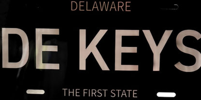 TDK Classic Style License Plate